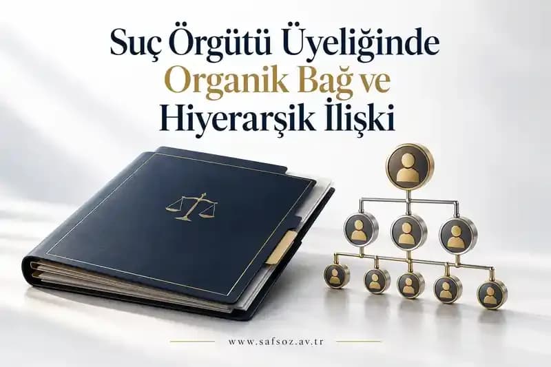 Suç Örgütü Üyeliğinde Organik Bağ ve Hiyerarşik İlişki